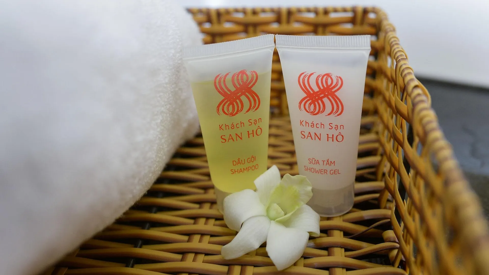 Khách sạn San Hô Vũng Tàu  Vung Tau